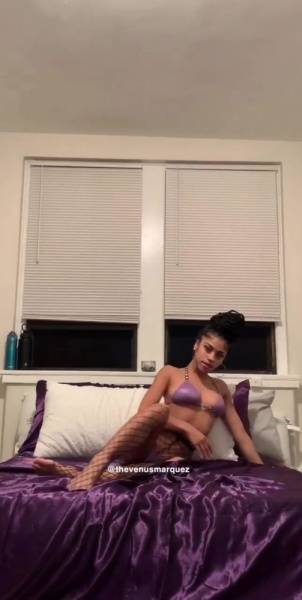 Venus Marquez video 003 onlyfans xxx porn on chickinfo.com