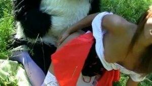Young Red Riding Hood Fucking With Panda In The Wood - county Young on chickinfo.com