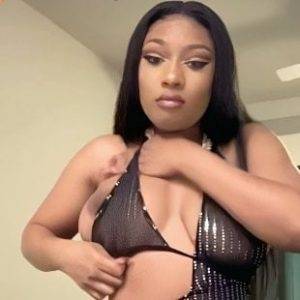 Delphine MEGAN THEE STALLION NUDE TIT SLIP AND ASS TWERKING COMPILATION on chickinfo.com