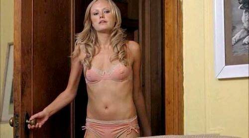 Malin Akerman Sexy on chickinfo.com