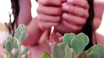 Zia xo succulent glass tentacle dildo wet & messy look dildos porn video manyvids on chickinfo.com
