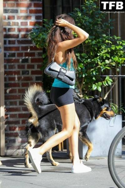 Leggy Emily Ratajkowski Takes Her Dog For a Stroll in New York City - city New York on chickinfo.com