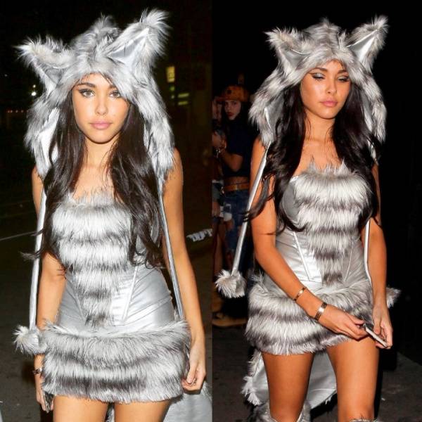 Madison Beer Halloween Candids Big Bad Wolf Cosplay Set Leaked - Usa - Madison on chickinfo.com