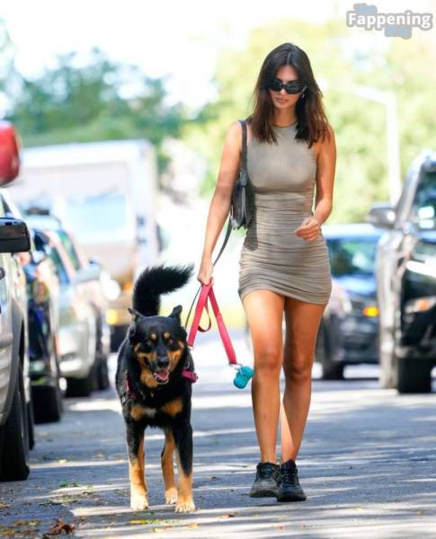 Emily Ratajkowski Looks Hot in a Mini Dress While Walking Her Dog in NYC (32 Photos) on chickinfo.com